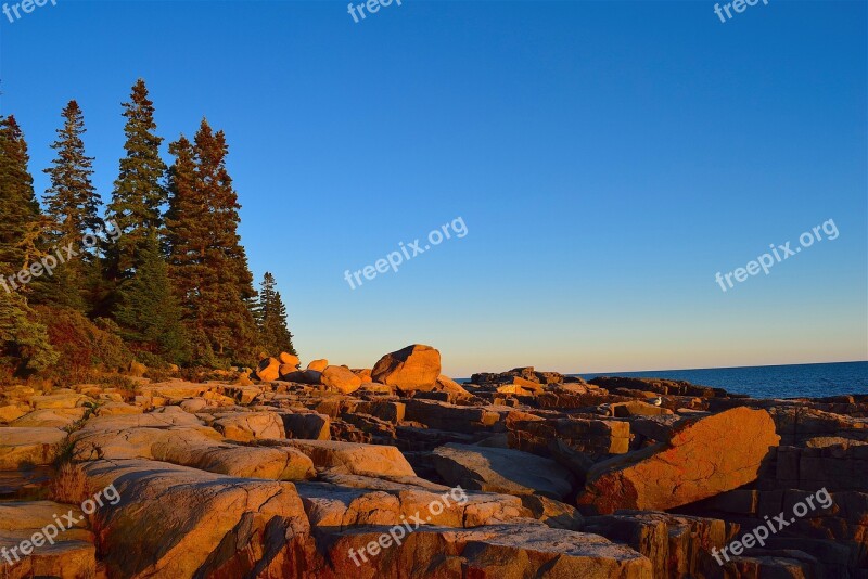 Sunset Trees Rocks Pine Trees Maine