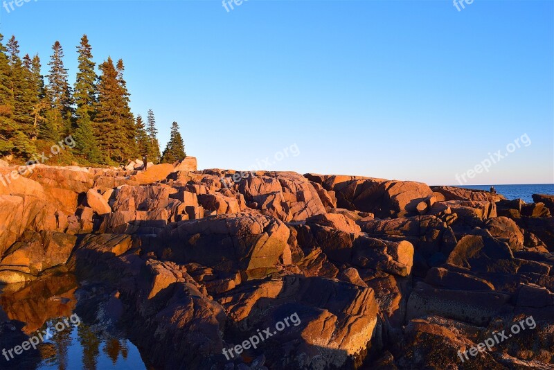 Sunset Trees Rocks Pine Trees Maine