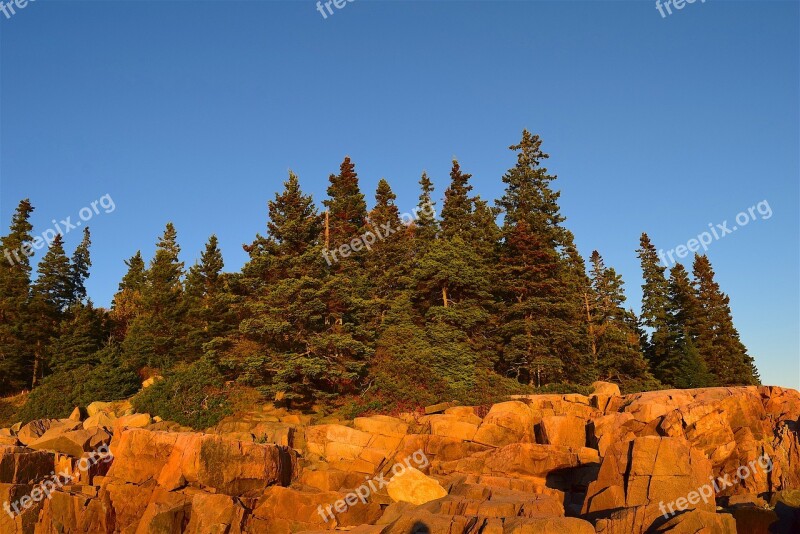 Sunset Trees Rocks Pine Trees Maine