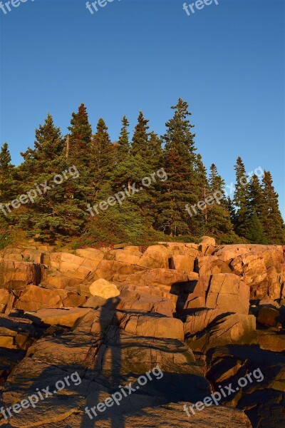 Sunset Trees Rocks Pine Trees Maine