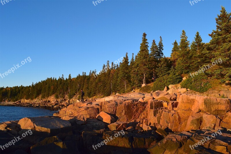 Sunset Trees Rocks Pine Trees Maine