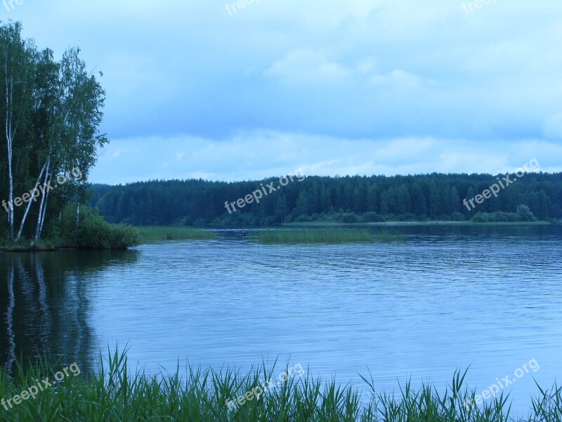 Landscape Summer Nature Forest Spaces