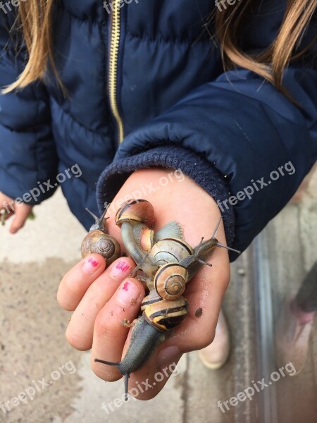 Slug Snails Children Hand Slimy