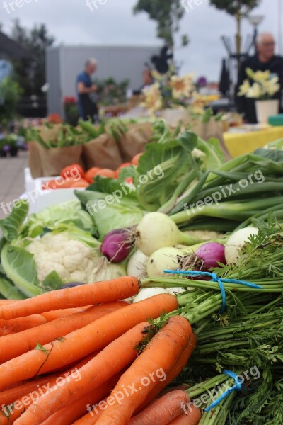 Ingredients Vegetables Markets Carrots Summer