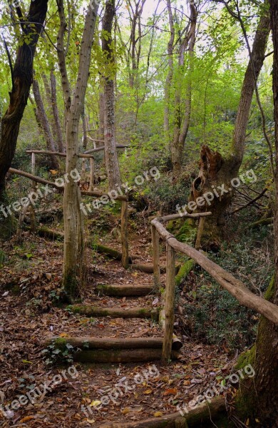 Stairs Wood The European Path E5 Val Borago