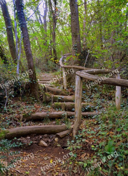 Stairs Wood The European Path E5 Val Borago