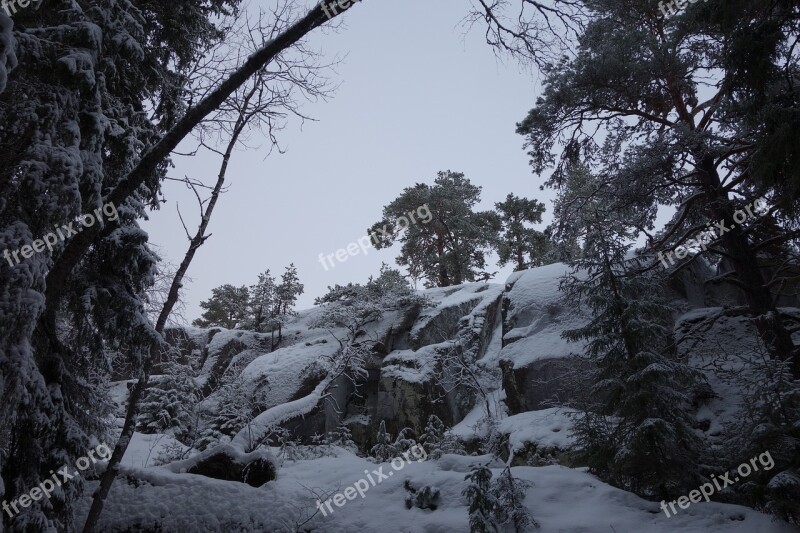 Winter Forest Rock Snow Rocks Landscape