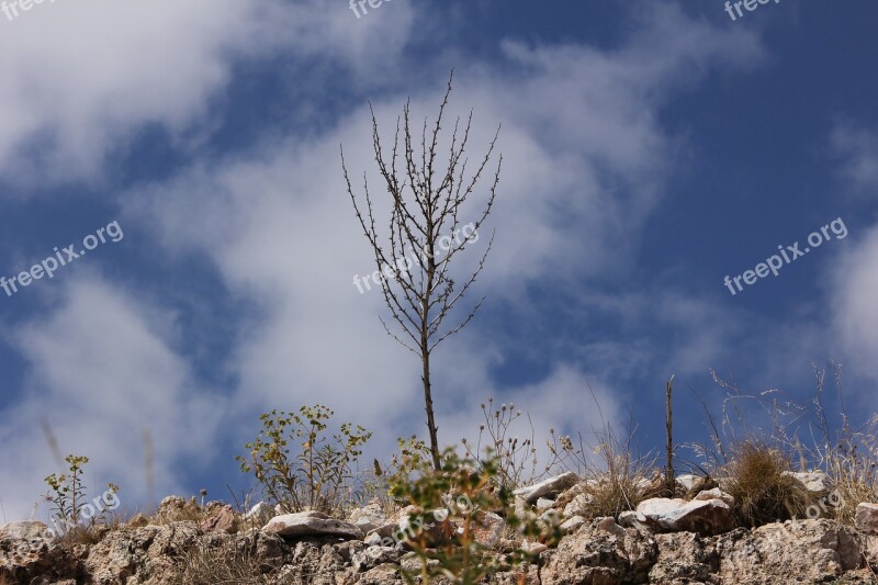 Cloud Flower The Stones Are Mountain Turkey