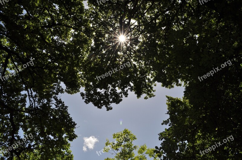 Rays Of The Sun Nature Atmosphere Sky Light