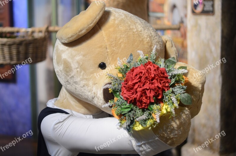 Teddy Bear Doll Marriage Proposal Free Photos