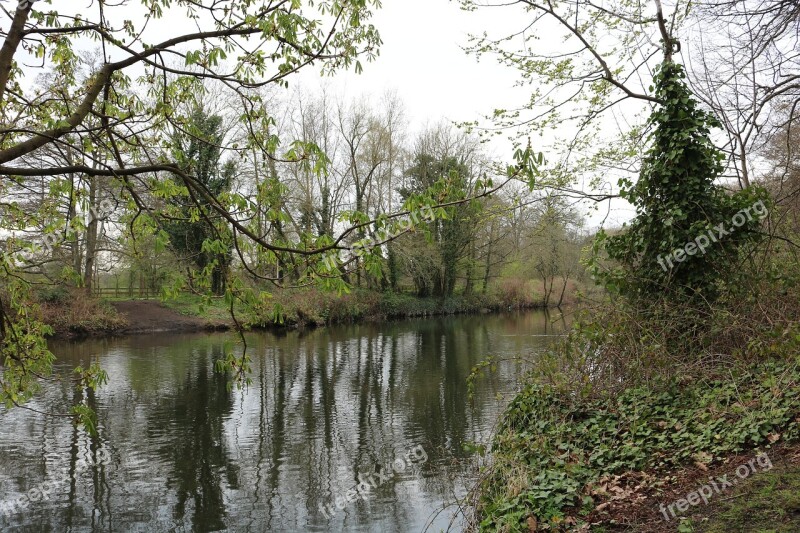 Landscape Forest Park River Trees