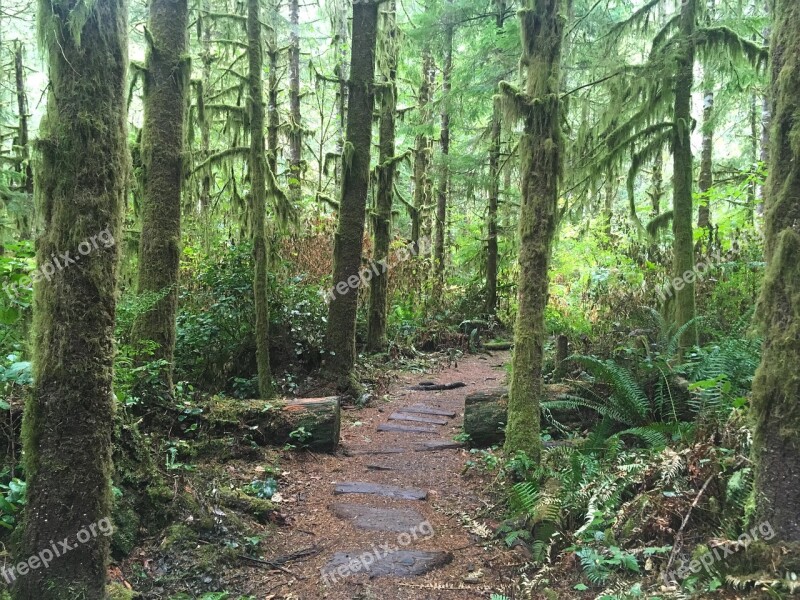 Hike Pacific Northwest Green Trail Nature