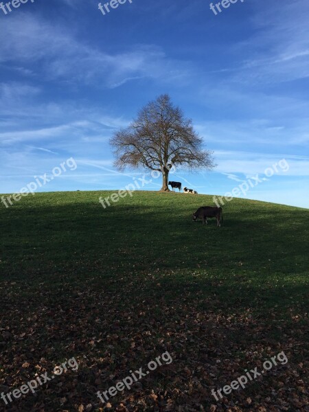 Nature Switzerland Mountain Summer Landscape Mountains