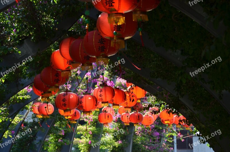 Chinese Lanterns Buddha Festival Celebration Event