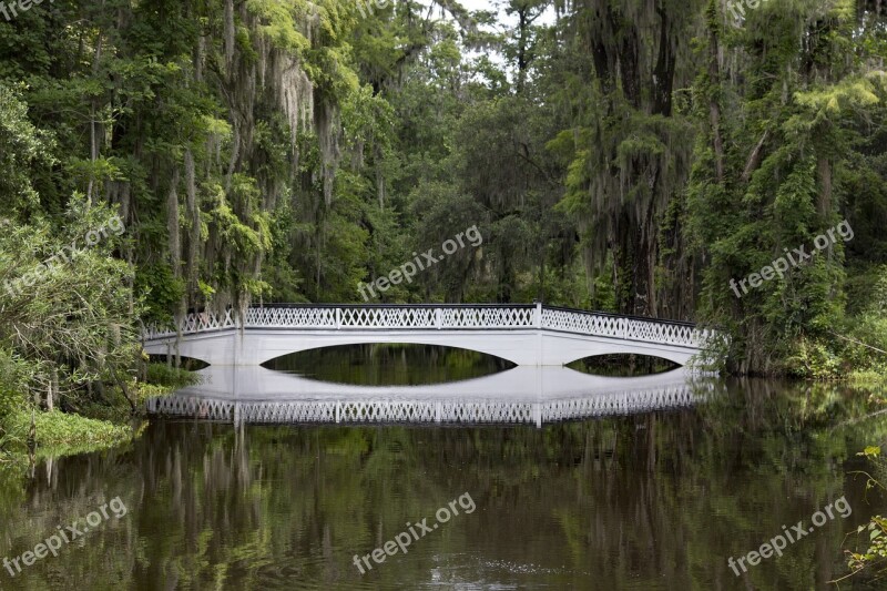 Bridge Charleston South Carolina Plantation Free Photos