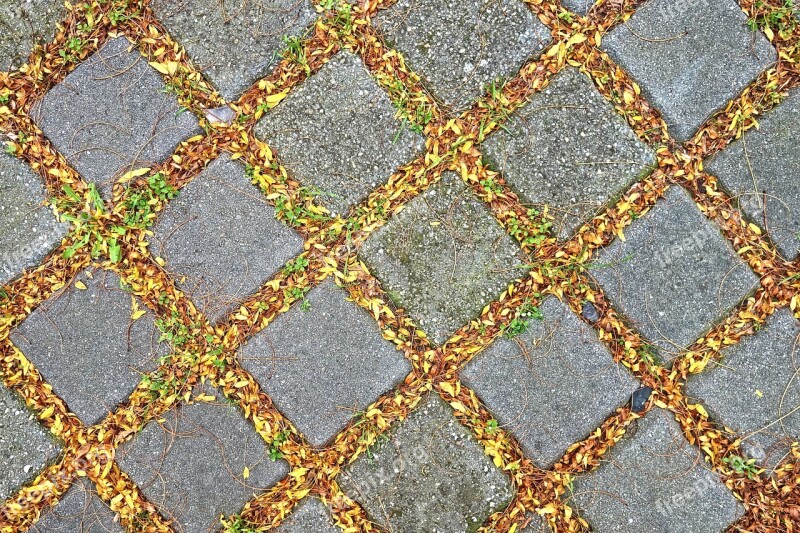 Pavement Tile Stone Pattern Leaves