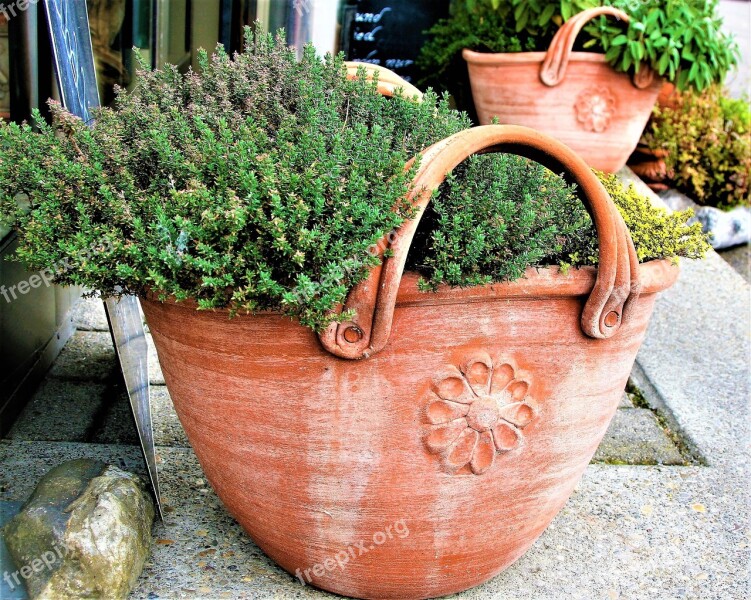 Flower Pot Clay Basket Plant Decorative