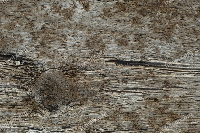 Wood Wood-fibre Boards Parquet Macro Texture