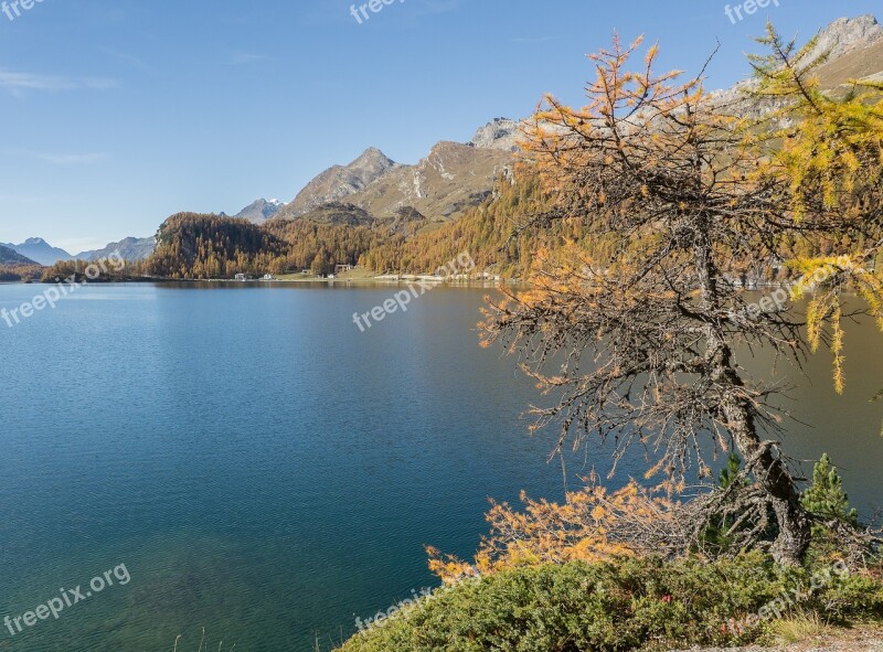 Lake Sils Switzerland Graubünden Sils Distant View