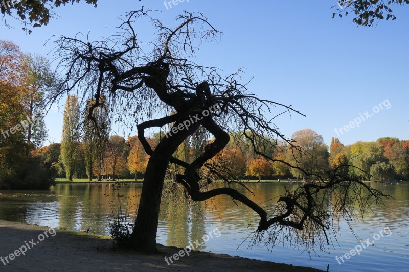 Munich English Garden Seehaus Autumn Tree