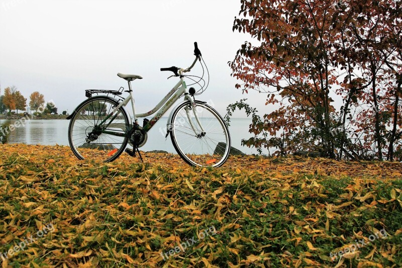 Yellow Leaves Autumn Bike Lake Bodensee