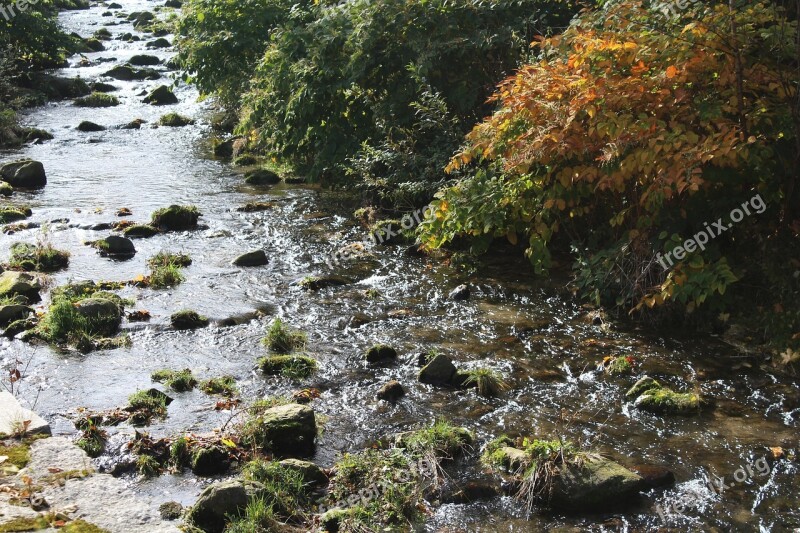 Torrent Mountain Water The Stones Noise Nature