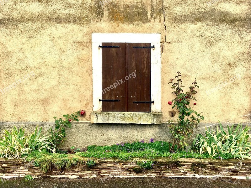 Roses House Window Background Vintage