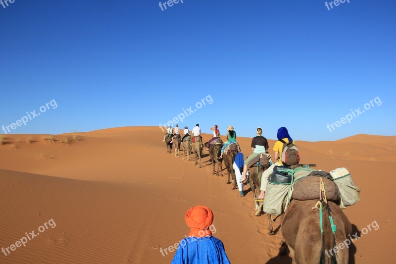 Camels Desert Africa Sahara Turban