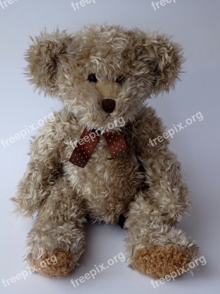 Teddy Teddy Bear Soft Toy Stuffed Animal Cute