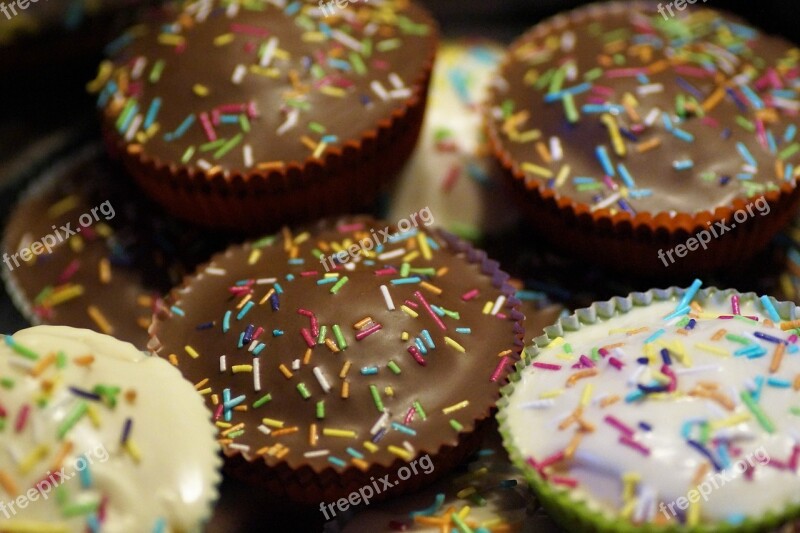 Muffin Cupcake Cake Chocolate Icing Dessert