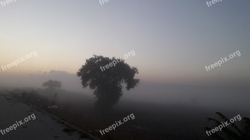 Nature Dawn Bicycle Rides Free Photos