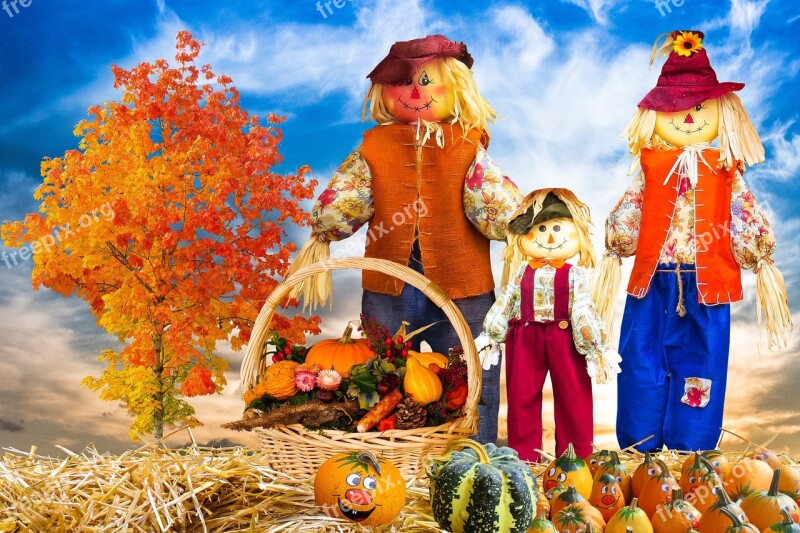 Emotions Season Autumn Autumn Beginning Autumn Decoration