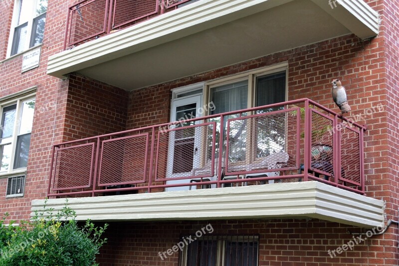 Condominium Terrace Upper West Side Manhattan Tree