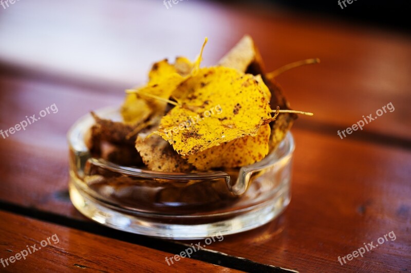 Glass Ashtray Glass Wooden Table Dry Leaves Autumn