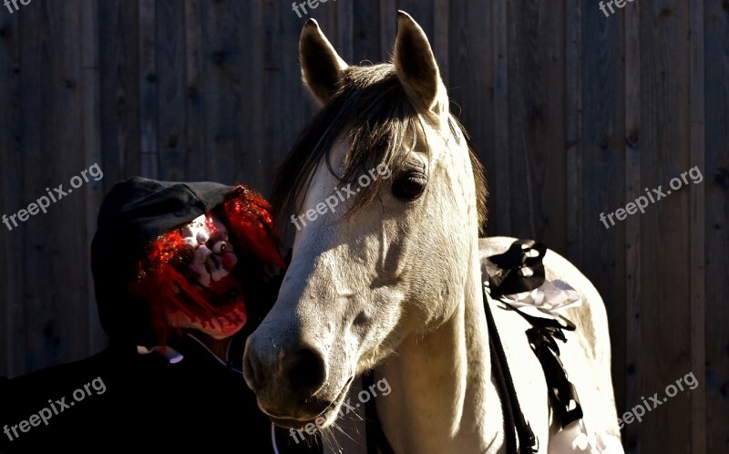 Halloween Bloody Horror Clown Creepy Horse