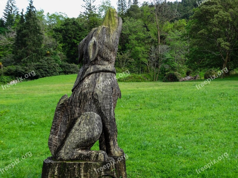 Nature Art Sculpture Wood Animal