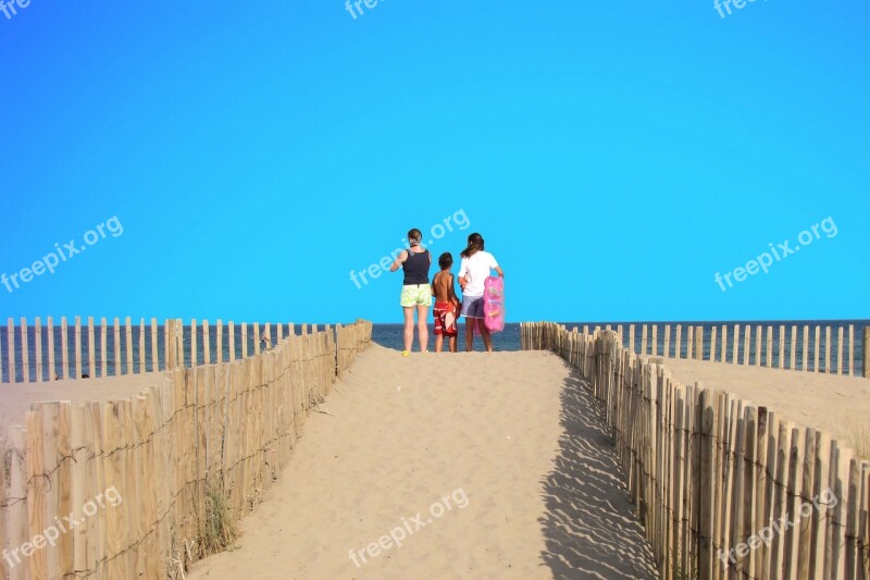 Dune Sandy Beach Beach Beach Life Horizon