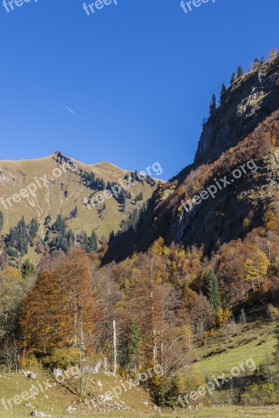 Mountain Forests Autumn Forest Alpine Allgäu Alps Mountains