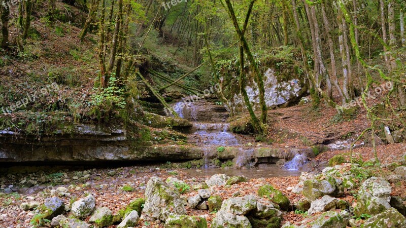 Waterfall Forest Torrent Stream Rock