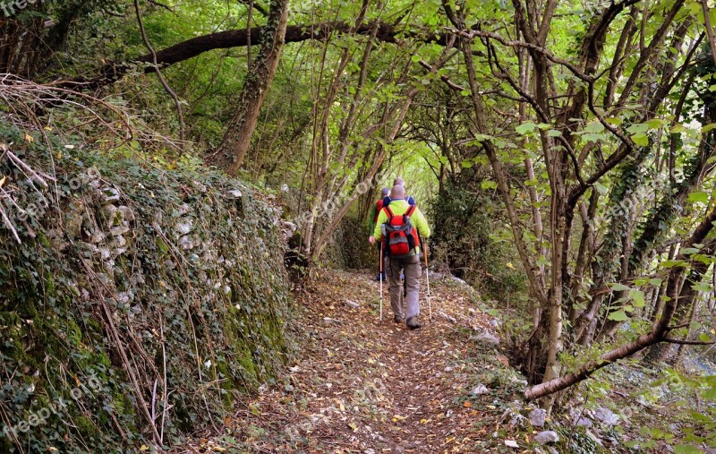 Forest Walk The European Path E5 Excursion