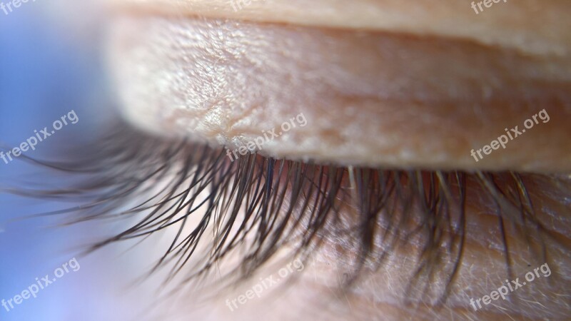 Eye Lid Eye-lid Eyelashes Close Up