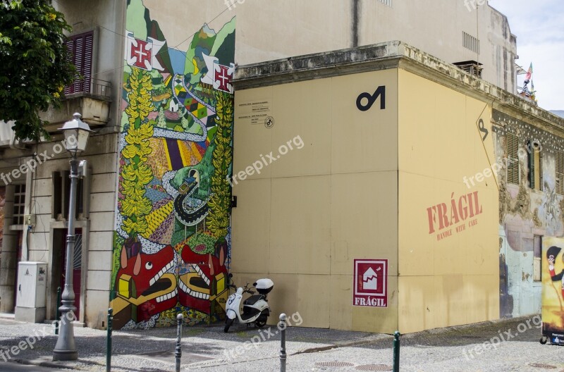 Madera Funchal Portugal Nature Street