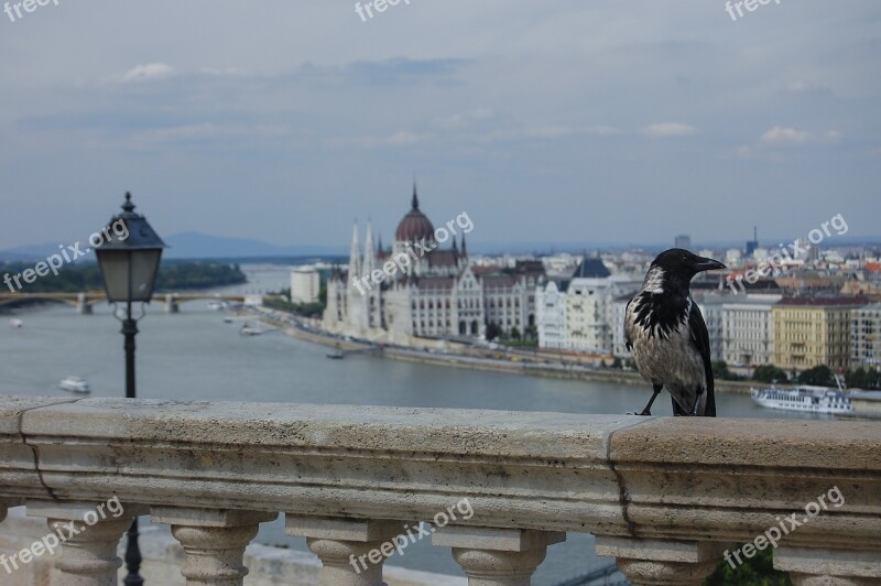 Budapest Danube Bird's Eye View Free Photos