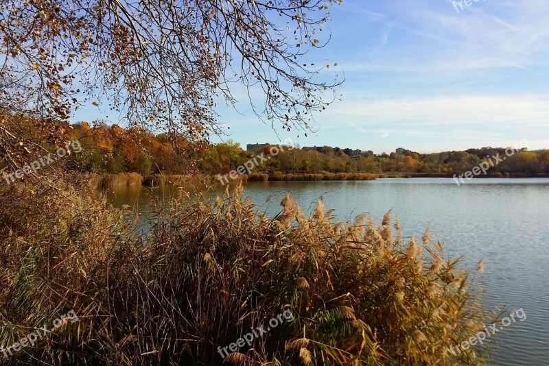 Autumn Nature Recreation Area Golden Autumn Landscape