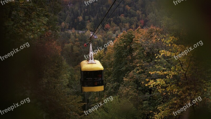 Train Air Zipline Latvia Leaf