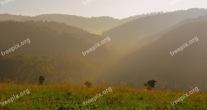 Mountain Fog Prato Clouds Grass