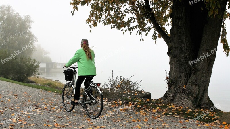 Foliage Beach Lake Bike Haze