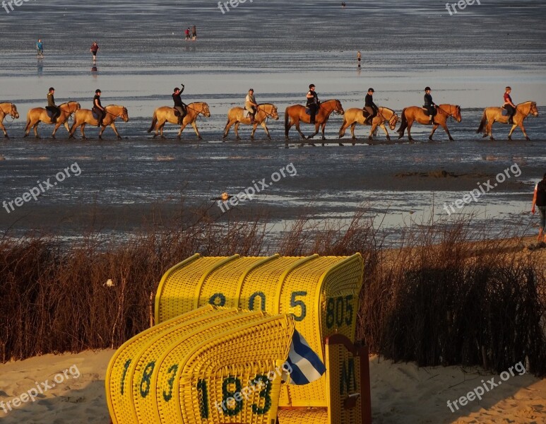 Beach Vacations Sun Cuxhaven Free Photos