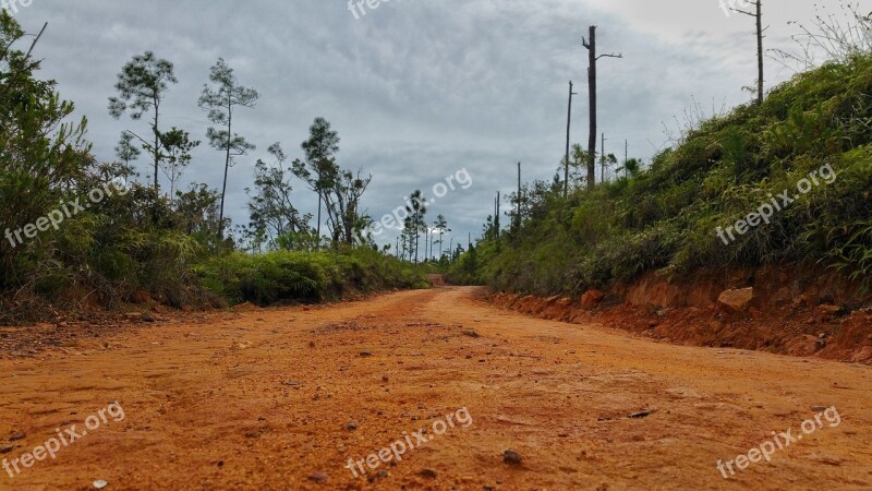 Gravel Road Rock's Tree's Sky Belize