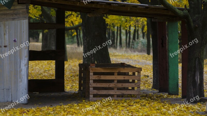 Canopy Autumn Foliage Gazebo Nature